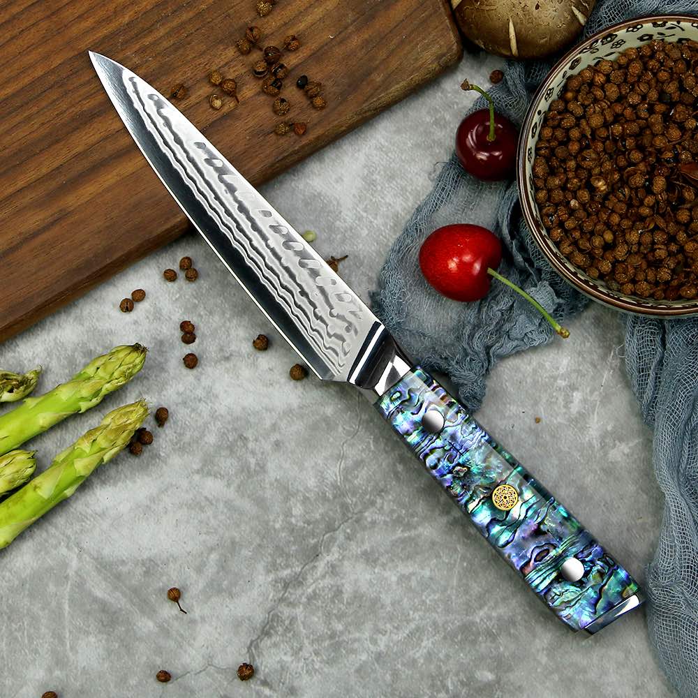 Suraisu Master Chef 5 Pcs Knife Set - Chef Knife | Nakiri Cleaver | Korouchi | Boning Knife Set