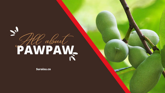 Pawpaw fruit: How to Eat Pawpaw Fruit